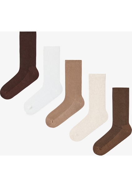 5 Çift Pamuklu Ribli Renkli Soket Çorap