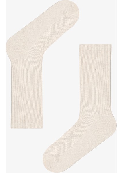 5 Çift Pamuklu Ribli Renkli Soket Çorap modelleri