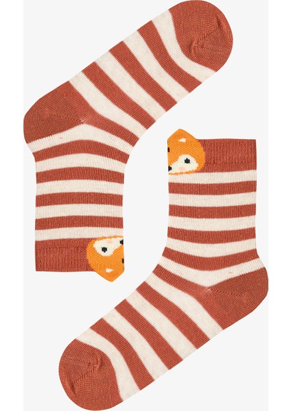 Çok Renkli Erkek Çocuk Foxy Stripe 4lü Soket Çorap modelleri