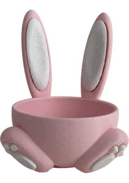 Pembe Tavşan Yumurtalık fiyatları