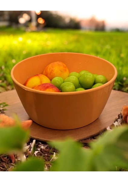 Medikal Silikon Salata & Meyve Kasesi fiyatları