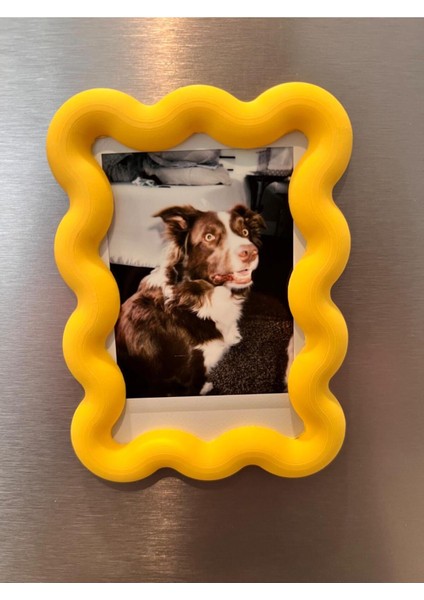 Buble Fotoğraf Çerçevesi Magnet Renkli 3'lü fiyatları