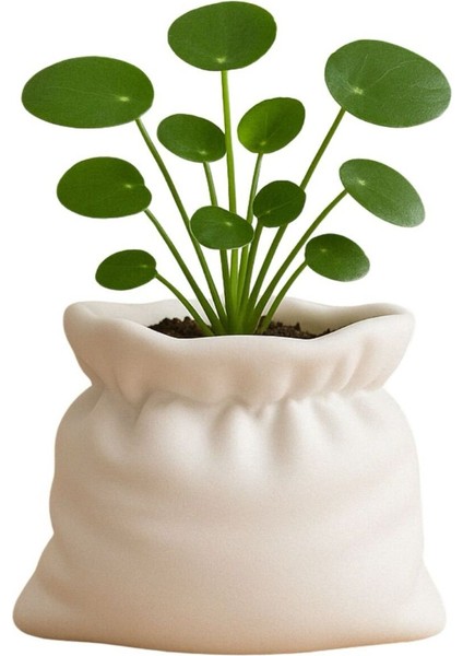 Beyaz Vazo 3D Baskı