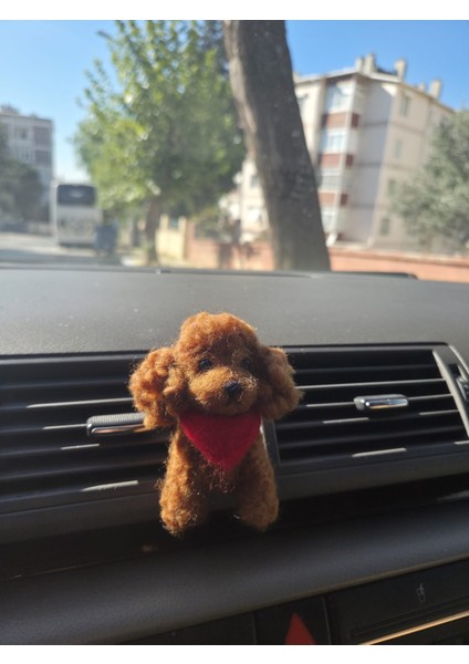 Araç Süsü,torpido Aksesuarı- Kaniş