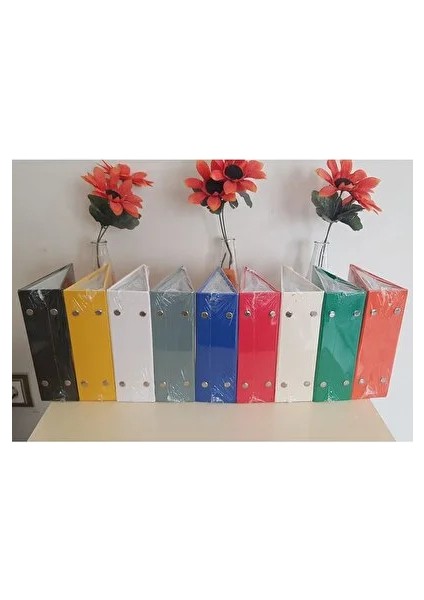 Snap Baskı 10X15 100 Lük Fotoğraf Albümü (3 Adet) modelleri