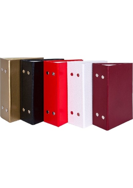 Snap Baskı 10X15 100 Lük Fotoğraf Albümü (3 Adet)