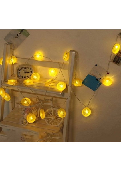 2 M 10 LED Pilli 2 Kademeli Limon LED Işık 6200-269 modelleri