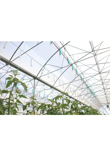 36 Aylık Sera Naylonu 350 Mikron Uv-Ab-Ir-Eva-Ld Katkılı fırsatları