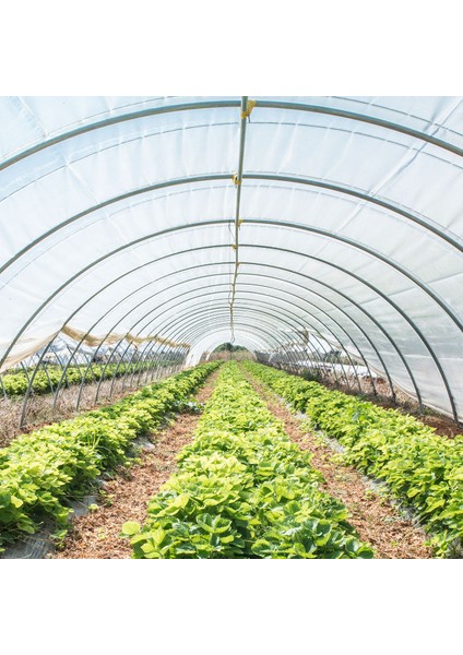 36 Aylık Sera Naylonu 350 Mikron Uv-Ab-Ir-Eva-Ld Katkılı indirimleri