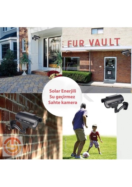 Avakado Kedi Nanesi Cat Mint Oyun Topu modelleri