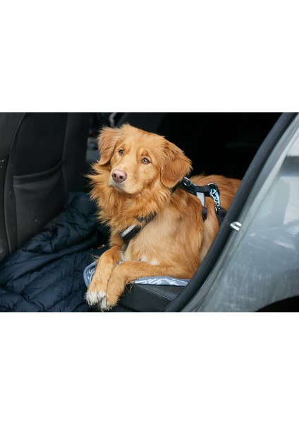 Tüm Araçlara Uygun Kedi Köpek Kullanımı için Emniyet Kemeri Susturucu Aparatı Plastik 5 Adet indirimleri
