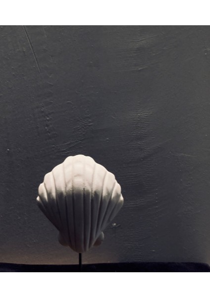 Dekoratif Deniz Kabuk Biblo – 18X8 Cm, Sahil ve Deniz Temalı Ev Dekoru
