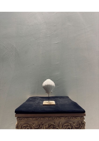 Dekoratif Deniz Kabuk Biblo – 18X8 Cm, Sahil ve Deniz Temalı Ev Dekoru fiyatları