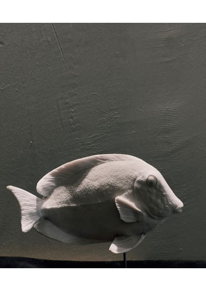 Dekoratif Balık Formlu Biblo – 17X18 cm Deniz Temalı Ev & Ofis Dekorasyonu modelleri