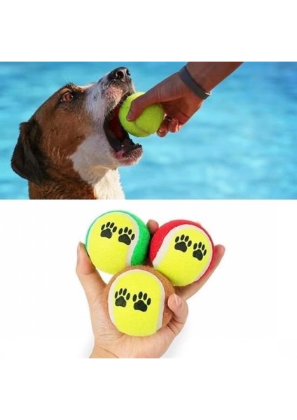 3lü Renkli Desenli Tenis Topu Kedi Köpek Oyuncağı indirimleri