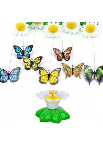 Hareketli Dönen Kelebek - Kedi Oyuncağı ( Pille Çalışır) modelleri