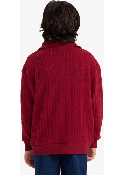 Erkek Çocuk Oversize Geniş Kalıp Yarım Fermuarlı Baskılı Jakarlı Sweatshirt G5384A825WN indirimleri