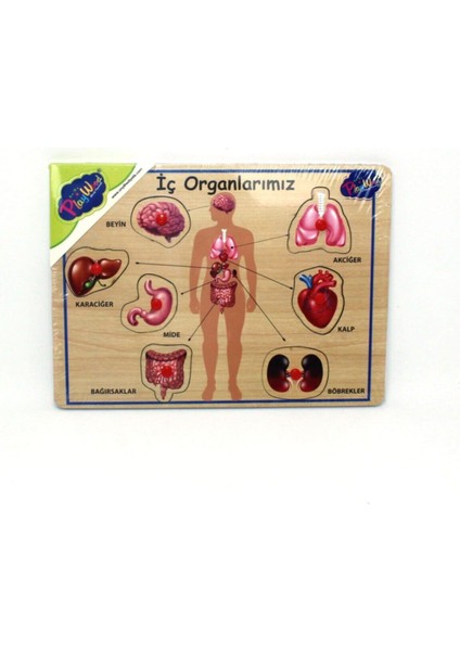 Çok Renkli Ahşap Tutmalı Organlar 166/167, Eğlenceli ve Şık Tasarım