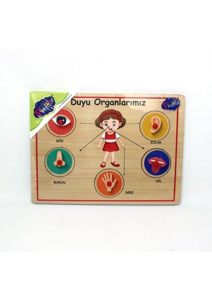 Çok Renkli Ahşap Tutmalı Organlar 166/167, Eğlenceli ve Şık Tasarım fiyatları