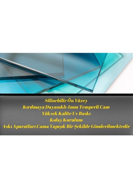 Sevilen Seri Çiçek Cam Tablo fırsatları