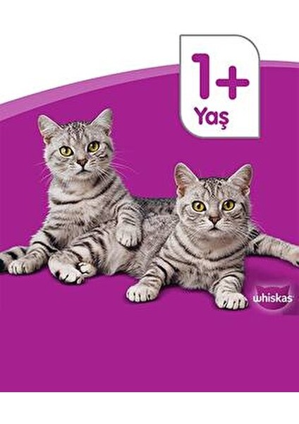 Pure Delight Yavru Tavuklu 12 x 85 gr Yavru Kediler İçin Doğal Yaş Mama indirimleri