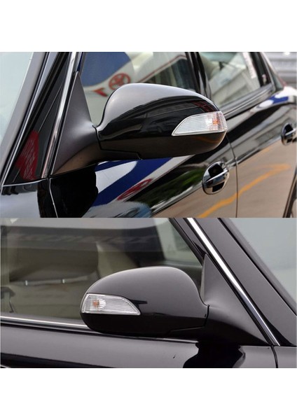 2pcs LED Dikiz Aynası Sinyali Işık Yanak Dikizli Ayna Dönüş Sinyal Lambası Hyundai Elantra 2008-2011 Otomobil Styling (Yurt Dışından) modelleri