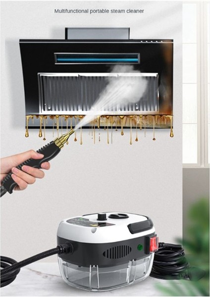 2500W Buharlı Temizleyici Yüksek Sıcaklık Sterilizasyonu (Abd) Beyaz (Yurt Dışından) modelleri