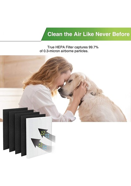 Winix C545 Hava Temizleyici Için C545 True Hepa Yedek Filtreleri (Yurt Dışından) modelleri