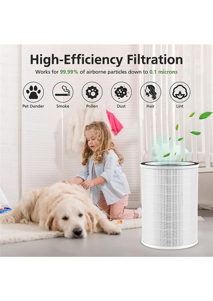 2pack H13 True Hepa Filtre, Afloia Kılo, Kıloplus, Kılopro Için (Yurt Dışından) fiyatları