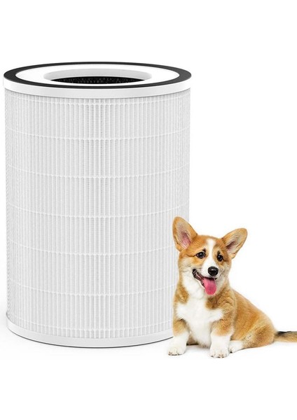 2pack H13 True Hepa Filtre, Afloia Kılo, Kıloplus, Kılopro Için (Yurt Dışından) fırsatları