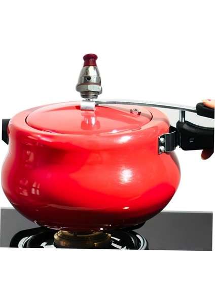 15 Adet Düdüklü Tencere Emniyet Jigger Vanaları Basınç Sınırlama Vanası (Yurt Dışından) modelleri