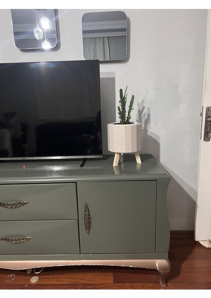 Şık Siyah Ayaklı Yuvarlak Doğal Ahşap Saksı, Dekorasyonunuz Için Ideal Seçim fiyatları