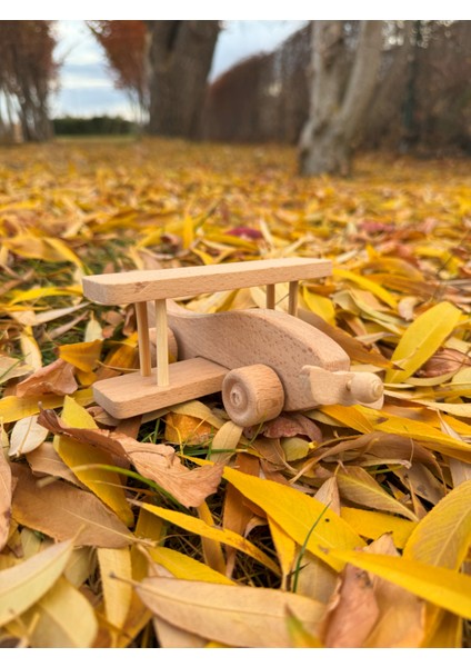 Renkli Ahşap Uçak Oyuncak, Eğlenceli ve Şık Tasarım fırsatları