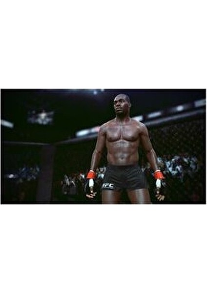 UFC Aksiyon Oyunu PS4 Spor ve Dövüş Türünde Yetişkinler İçin Multiplayer Desteği