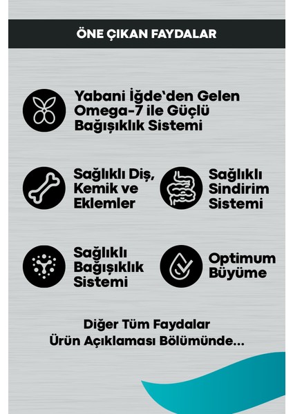 Signature Kuzulu Yavru Köpek Orta ve Büyük Irk - 12 kg fiyatları