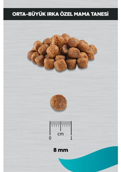 Signature Kuzulu Yavru Köpek Orta ve Büyük Irk - 12 kg indirimleri