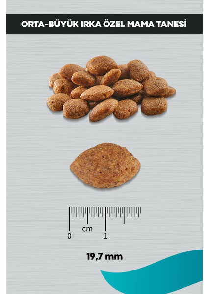 Signature Kuzulu Yetişkin Köpek Orta ve Büyük Irk - 12 kg indirimleri