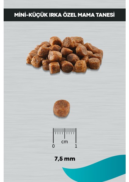 Signature Tavuklu Yavru Köpek Küçük Irk - 12 kg indirimleri