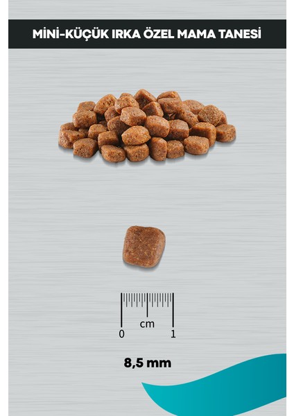 Signature Kuzulu Yavru Köpek Küçük Irk - 12 kg indirimleri