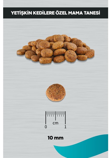 Signature Tavuklu Kısırlaştırılmış Kedi 2 kg indirimleri