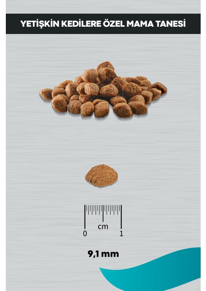 Signature Somonlu Yetişkin Kedi Tüy Yumağı Önleyici 2 kg indirimleri