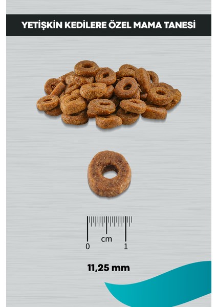 Signature Tavuklu Yetişkin Kedi 2 kg indirimleri