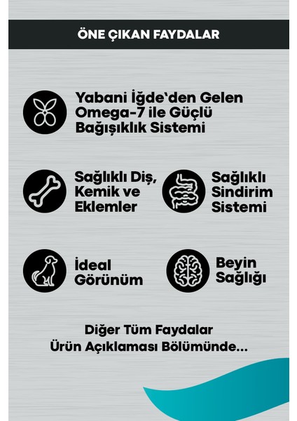 Signature Kuzulu Yetişkin Köpek Küçük Irk - 12 kg fiyatları