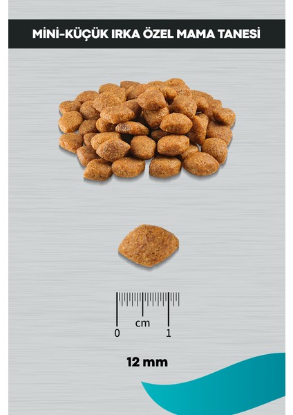 Signature Kuzulu Yetişkin Köpek Küçük Irk - 12 kg indirimleri