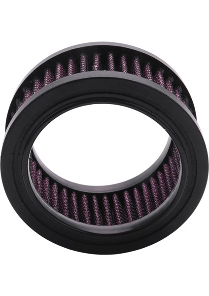 Sportster Xl 883 1200 48 2004-2018 Için Motosiklet Evrensel Yedek Hava Temizleyici Alım Filtresi (Yurt Dışından) indirimleri