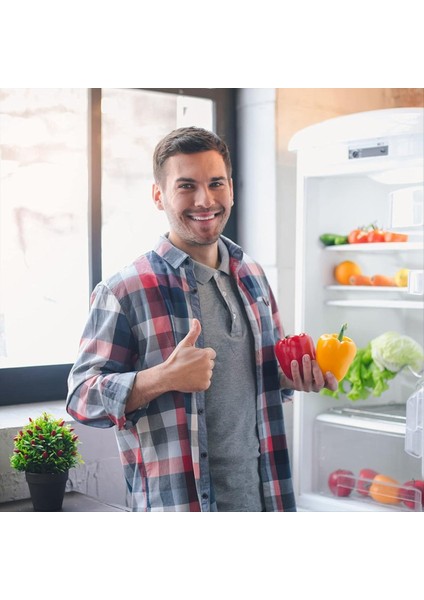 Pureair Af-2 Buzdolabı Hava Filtresi Için Uygun FRFC232AS FRFC232LAF FRFC233LAF FRFG2323AF FRFN2823AS B (Yurt Dışından) indirimleri