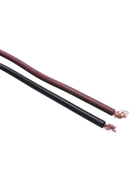 5x 12/ 24V 3 LED Plaka Day Hafif Tekne Rv Kamyon Trailer Iç Lamba (Yurt Dışından)