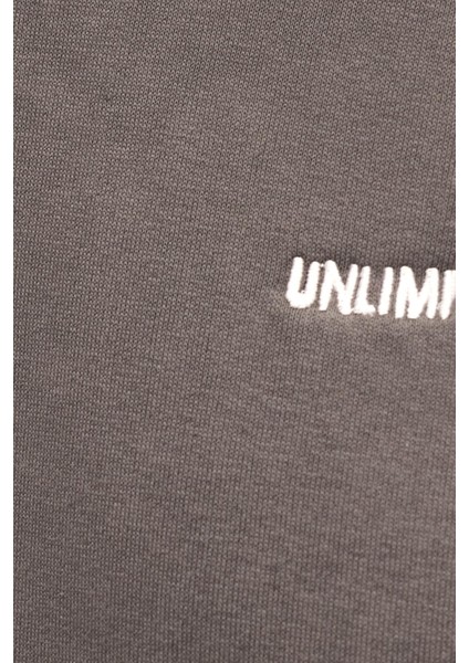 Erkek Relax Fit Pamuklu 3 Iplik Yumuşak Dokulu Içi Polarlı Bisiklet Yaka Gri Eşofman Takımı