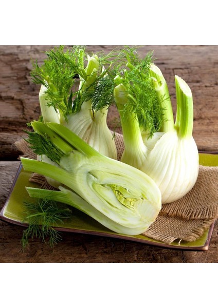 Floransa Kök Rezene Tohumu Fennel