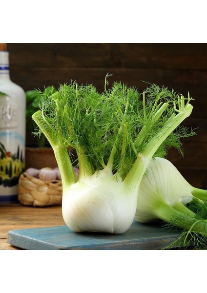 Floransa Kök Rezene Tohumu Fennel modelleri